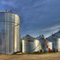 Steel Grain Storage Bins