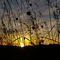 Sunset on Entropy Acres