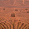 harvest time