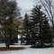 Inglis Falls Arboretum