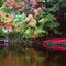 Autumn in Williamsford, Ontario
