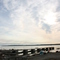 Paterson Dock