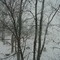 winter_shot