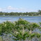 S. Mitchell Lake @ causeway looking SE