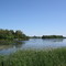 S. Mitchell Lake @ 48 looking SW
