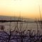 sunset at farm