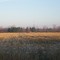 Fall Frost