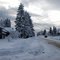 Winter Road