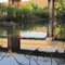 San Pedro River