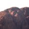 bear on mountain
