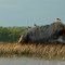 Seagull Rock