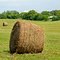 Hay Bales in the field, Woodville Ontario