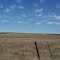 On the Road - Merced - California
