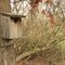 Bird box on North Trail