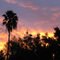 California Sunrise