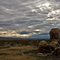 Morning in the Mojave Desert