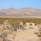 Palmdale East