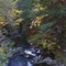 Beaver Creek Siskiyou County CA