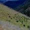 Klamath River canyon