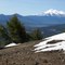 On Goosenest looking at Shasta