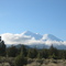Mt. Shasta from Shasta Valley