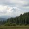 Mount Shasta floating in the Clouds