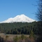 Mount Shasta