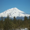 Shasta from Mccloud