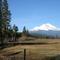 Mt Shasta