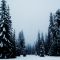 Siskiyou Wilderness