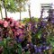 GOOD MORNING! REEDLEY, CALIFORNIA.