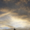 Wildwod Sunrise