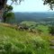 Spenceville Vista