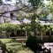 House on Silver Pine
