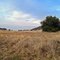 Spenceville Countryside