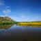 Mid Day Reflection