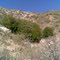 East Etiwanda Canyon