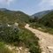 Road to East Etiwanda Creek Falls