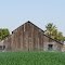 Barn and irrigation, Tranquillity