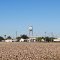 water tower and cotton field, Tranquillity
