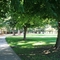 Saratoga Creek Park