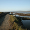 Alviso, CA