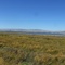Don Edwards Wildlife Refuge, Mallard Slough Trail