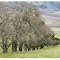 Calaveras Valley