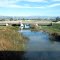 Guadalupe River of San Jose