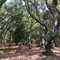 Novato, California