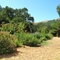 San Domenico School - Garden of Hope, San Anselmo, California