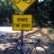 Share the Road Bike