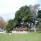 UCSC Main Entrance - Nov 2008