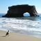Natural Bridge, Santa Cruz, California - 1st Prize 0901 Scenery